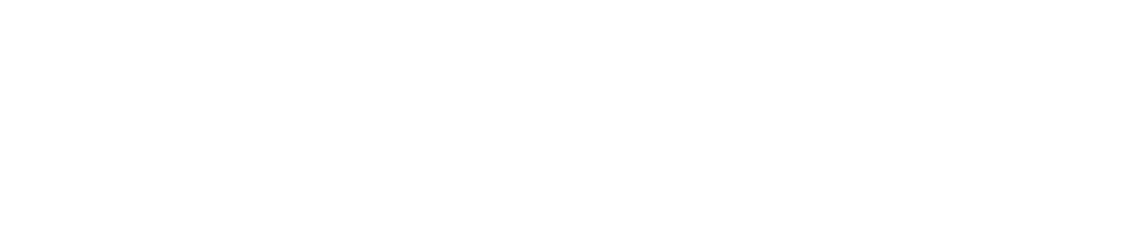 s travel logo