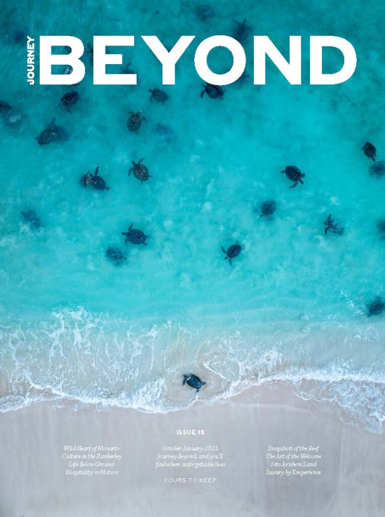 Overhead view of a turquoise ocean with sea turtles swimming around, featured on a magazine cover
